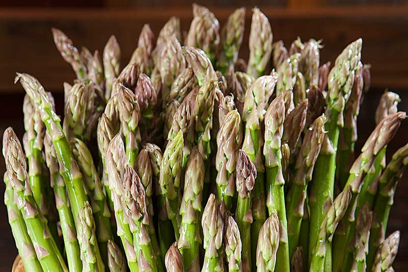 ASPARAGUS