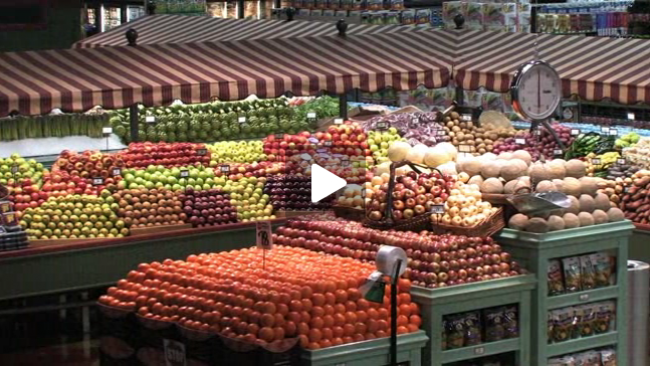 $video['description']