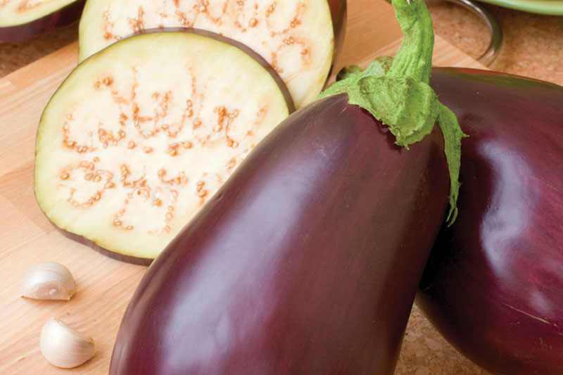 eggplant