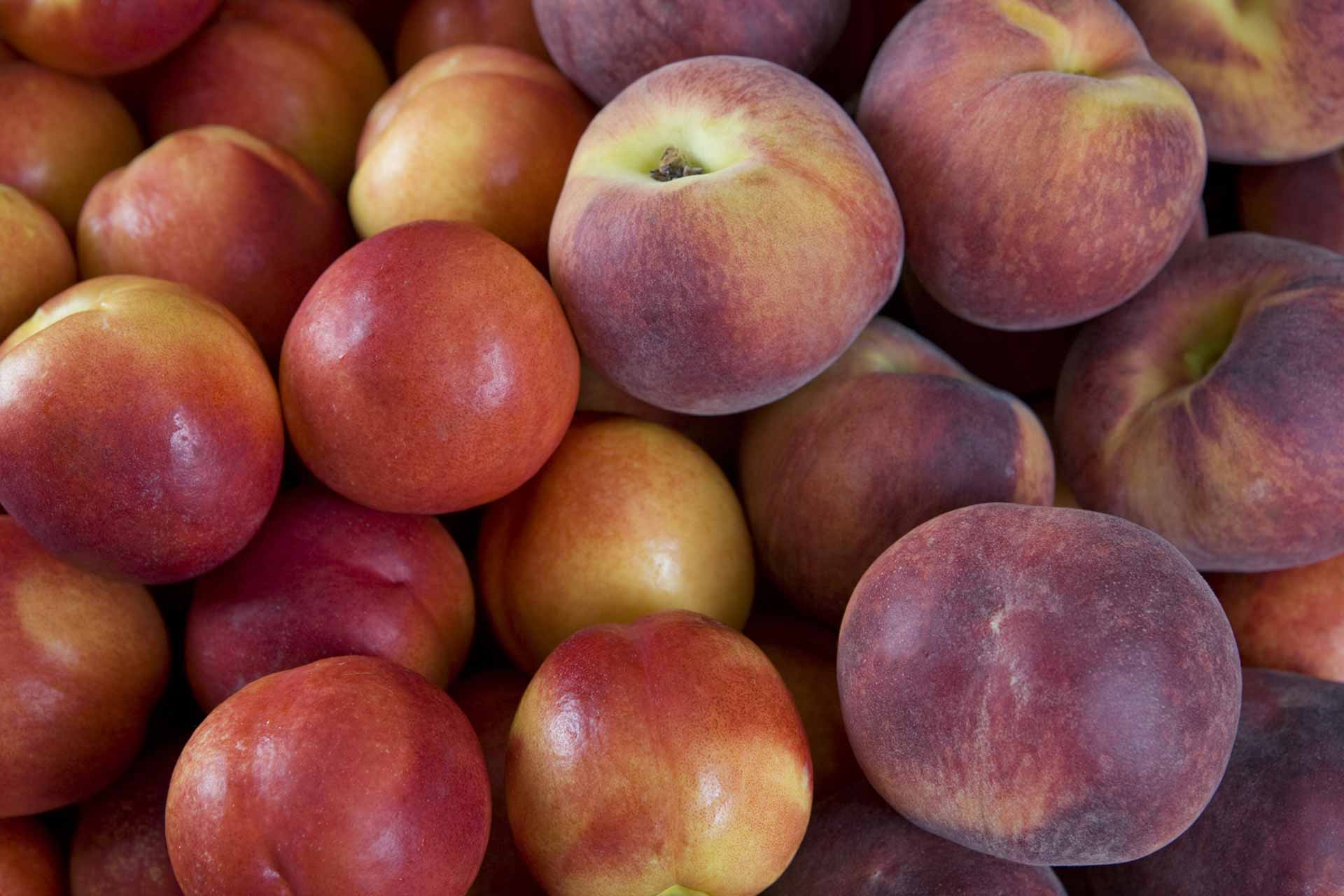 Peaches and Nectarines