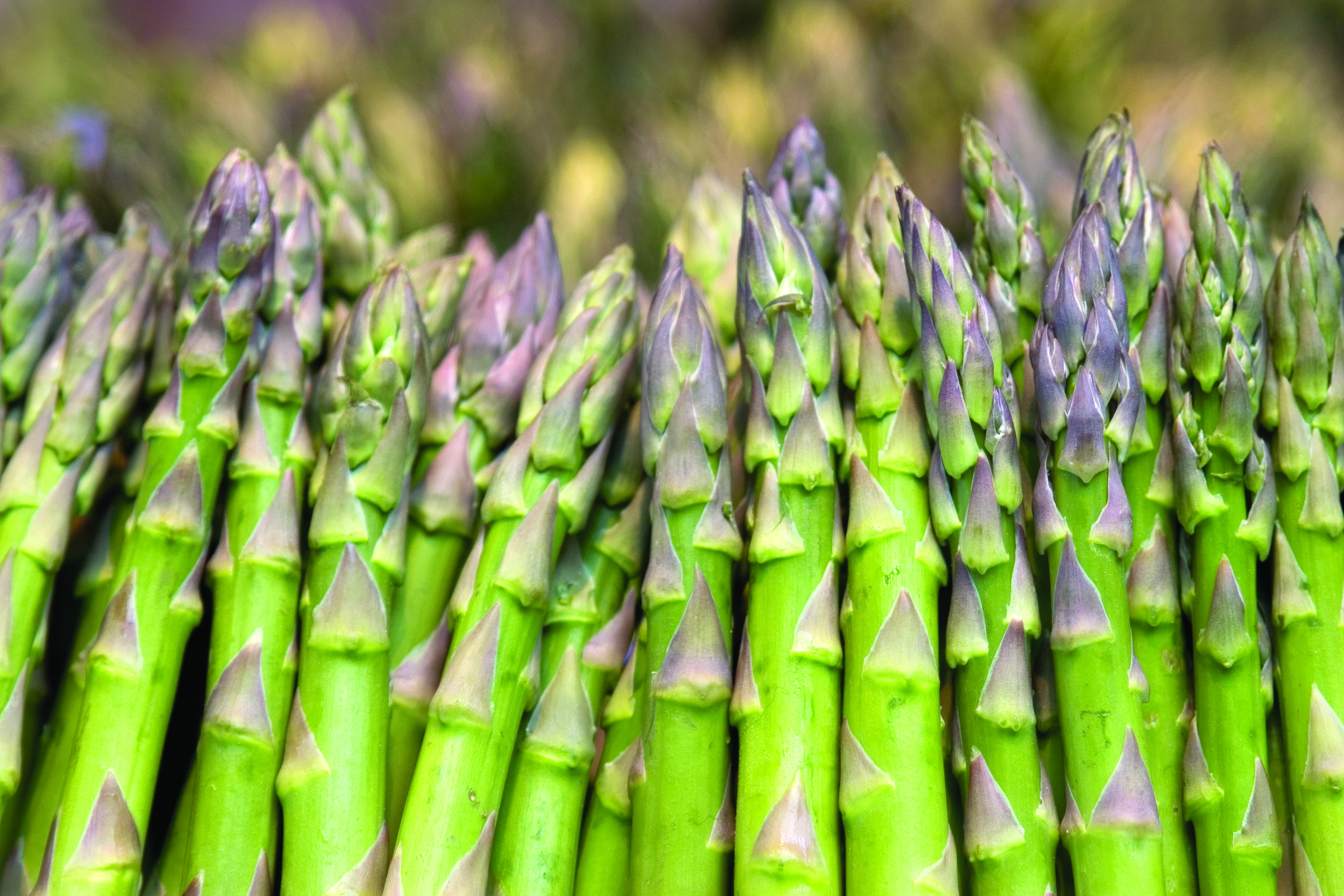 Asparagus