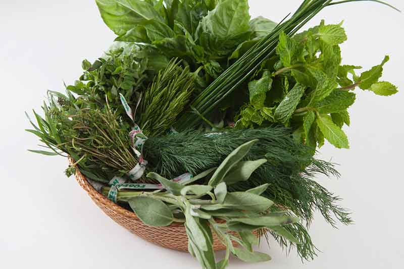 bunched herbs