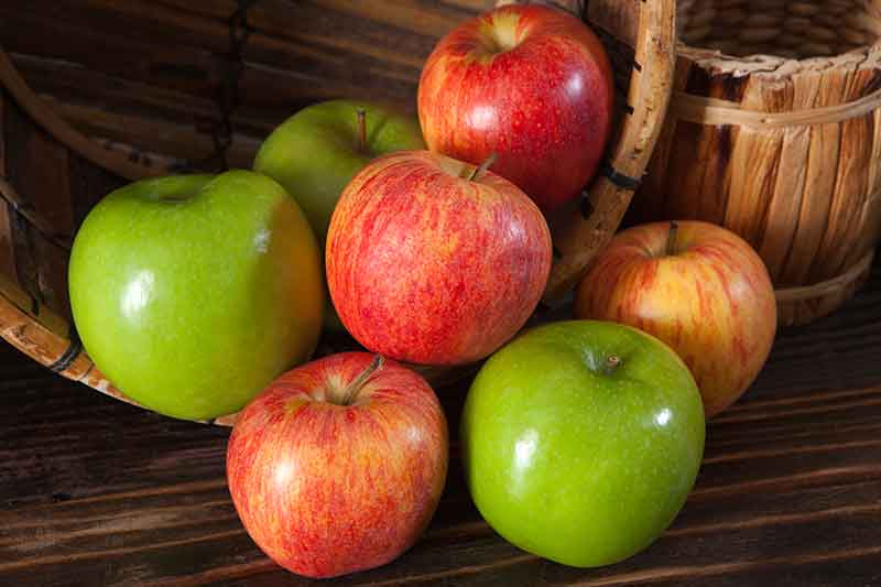 Fuji and Granny Smith Apples