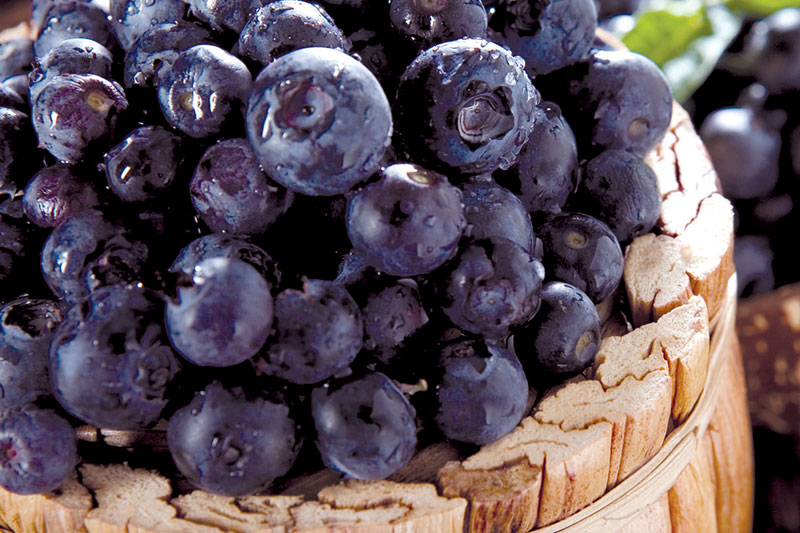 Blueberries