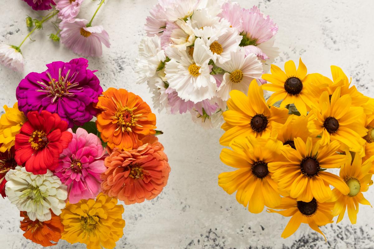 full belly farm bunches of flowers