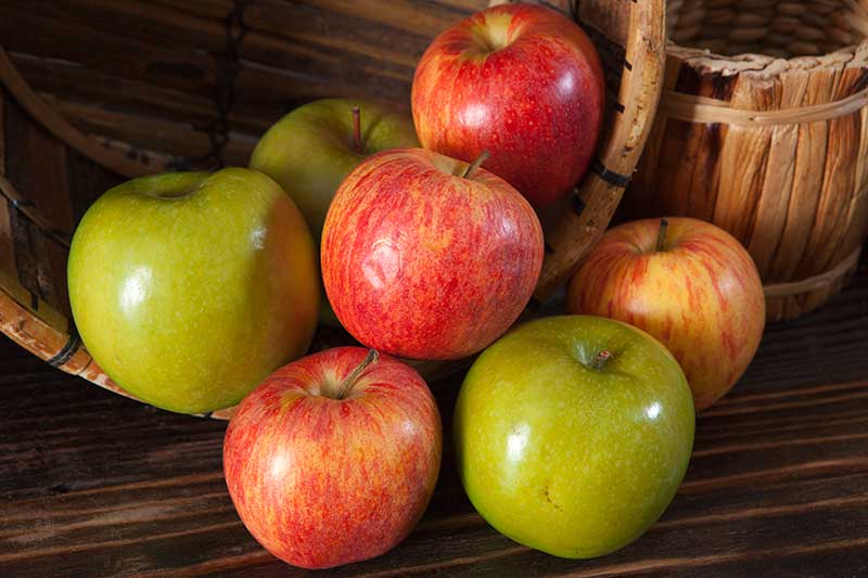 Jazz, Cameo, or Pippin Apples