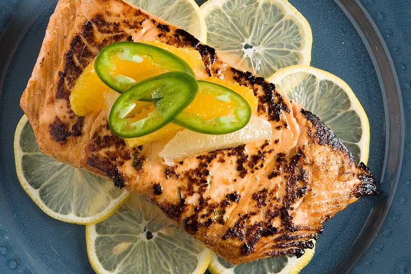 king salmon fillet