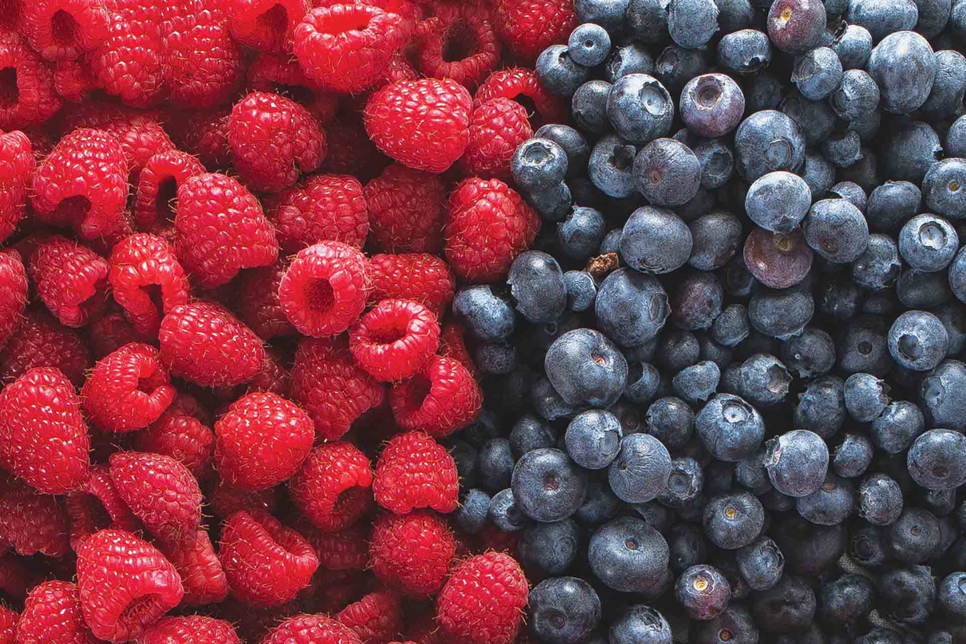 Raspberries and Blueberries