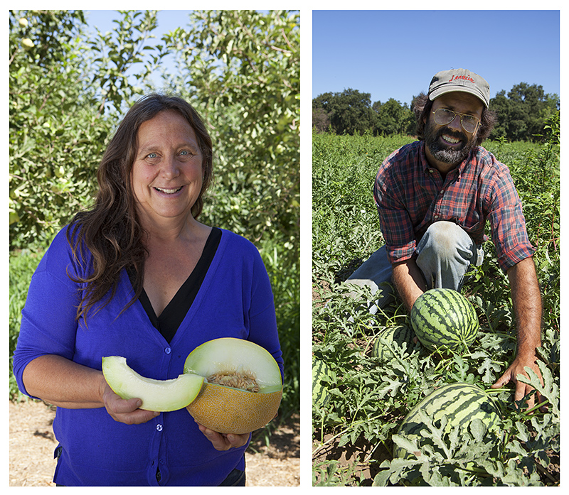 Full Belly Farm Melons