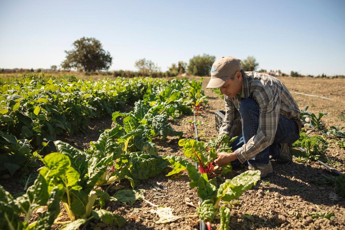 Farmer Glen Baldwin of Six O’Clock Farm