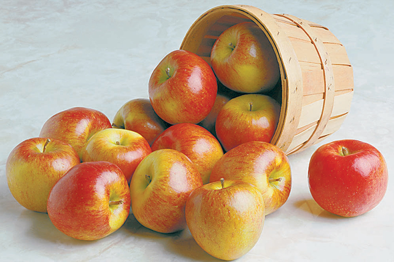 braeburn apples