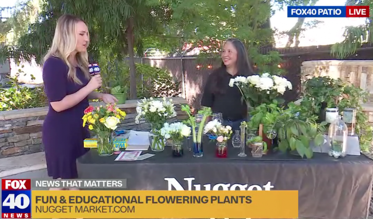 Susi showing flower projects at Fox40
