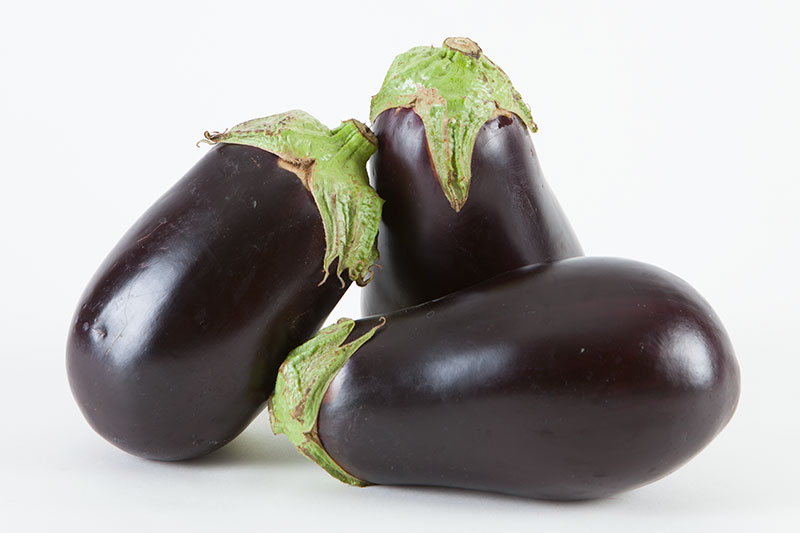 eggplant
