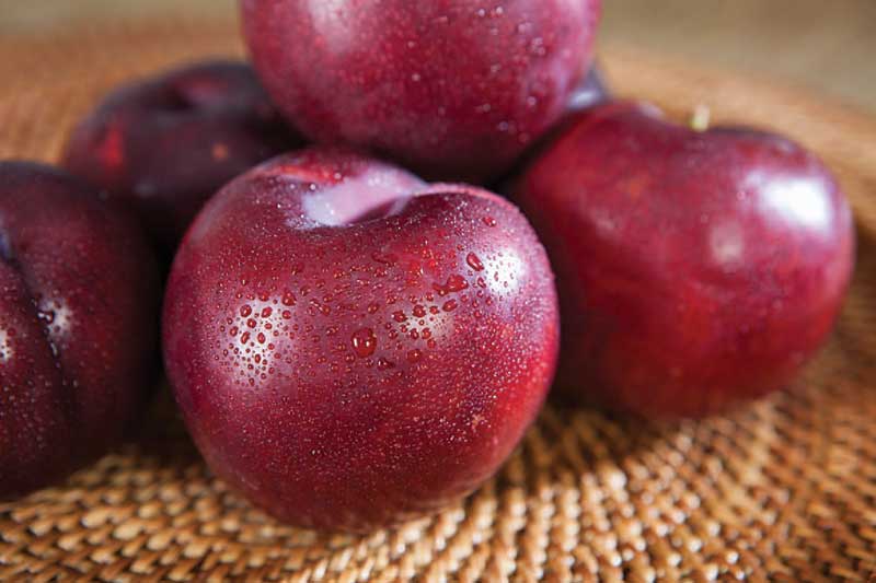 red plums