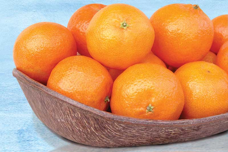 clementine tangerines