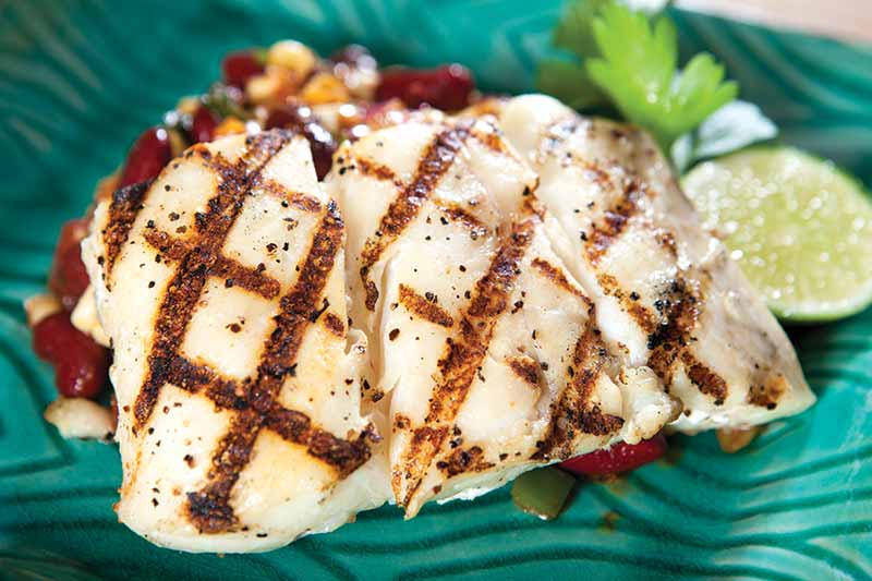 grilled halibut fillet Nugget Markets Image