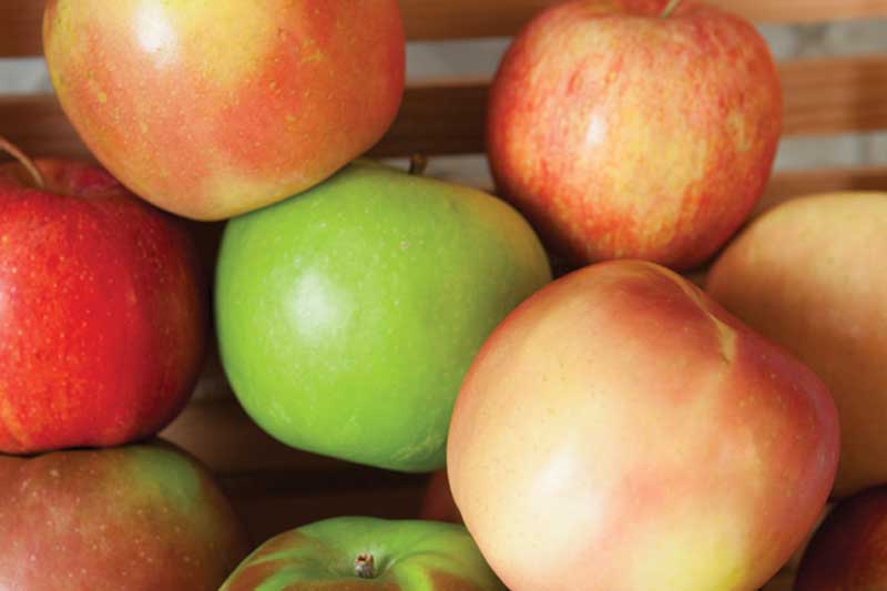 Apples
