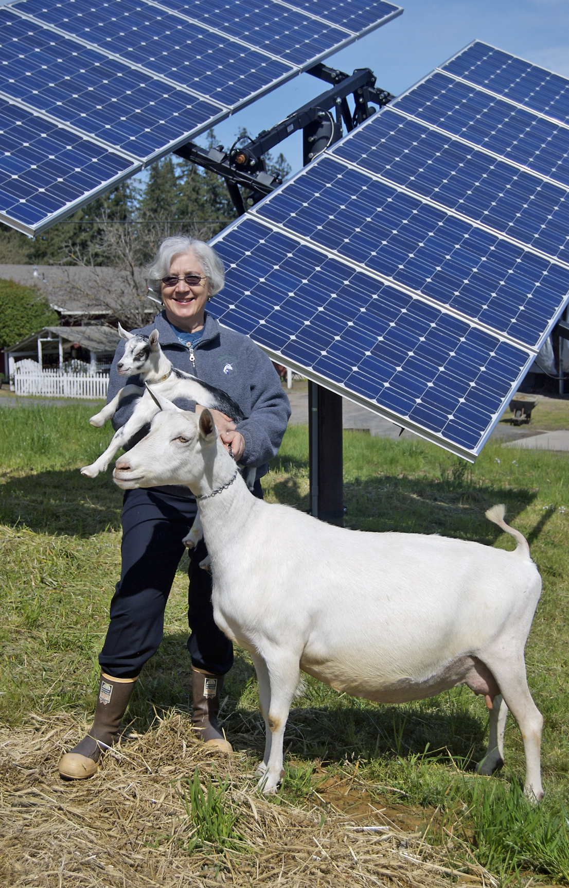 Redwood Hill Farm & Creamery