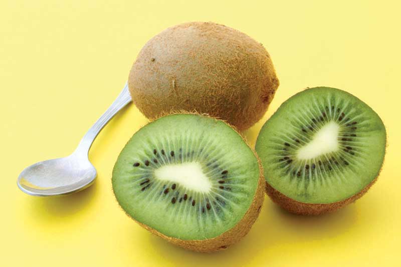 kiwi