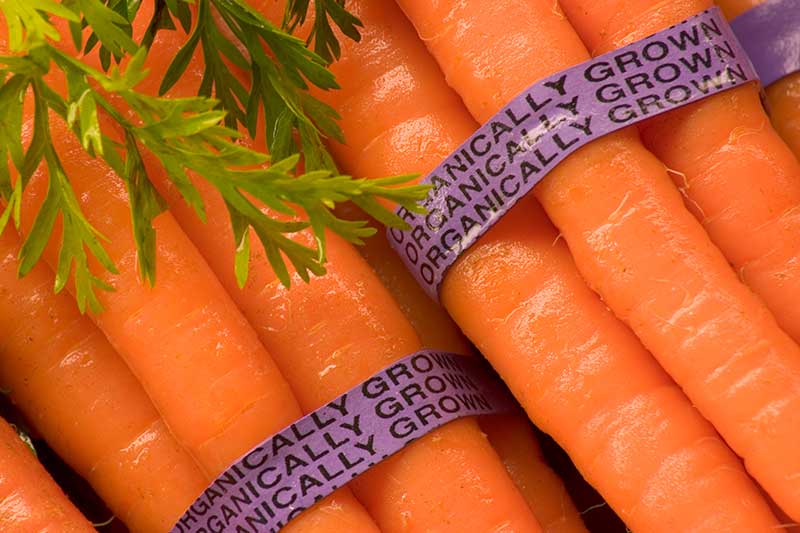 organic carrots