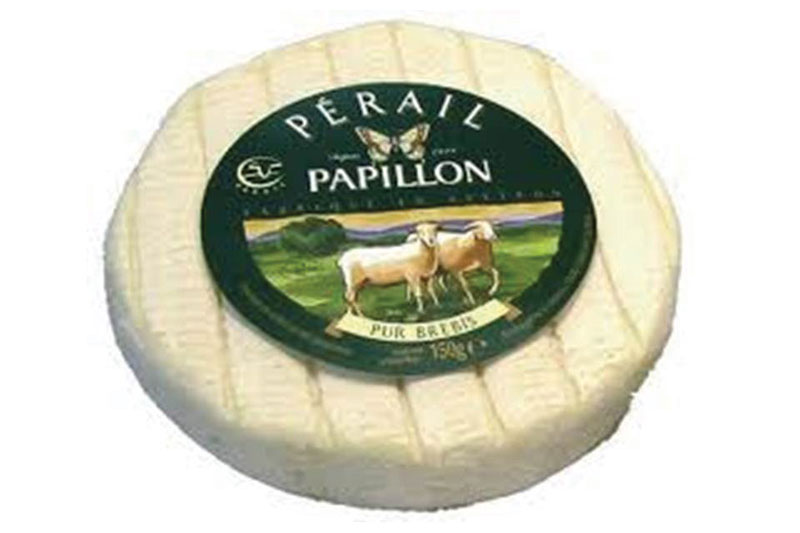 Papillon Perail