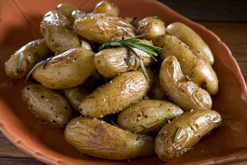 Fingerling Potatoes
