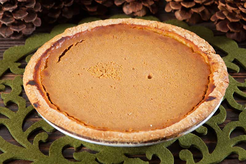 Heidi’s pumpkin pie