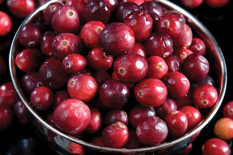 cranberries