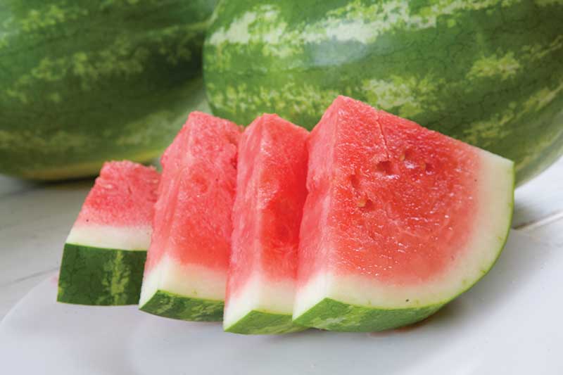 seedless watermelon