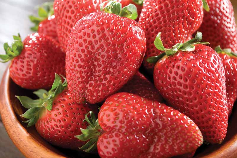 strawberries in wooden bowl