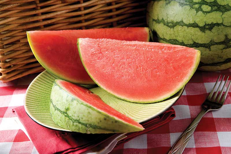 watermelon