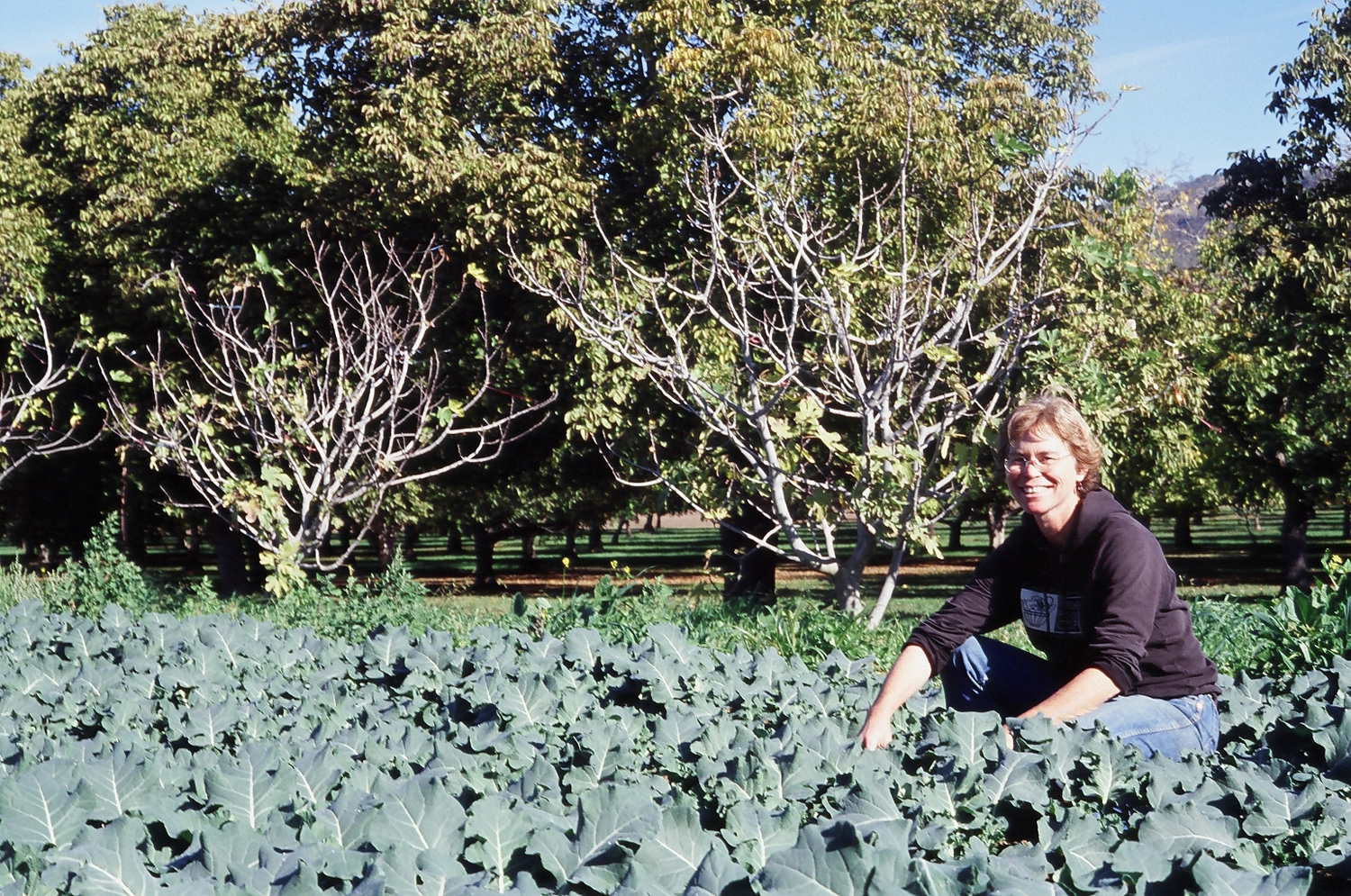 Judith Redmond, Partner at Full Belly Farm