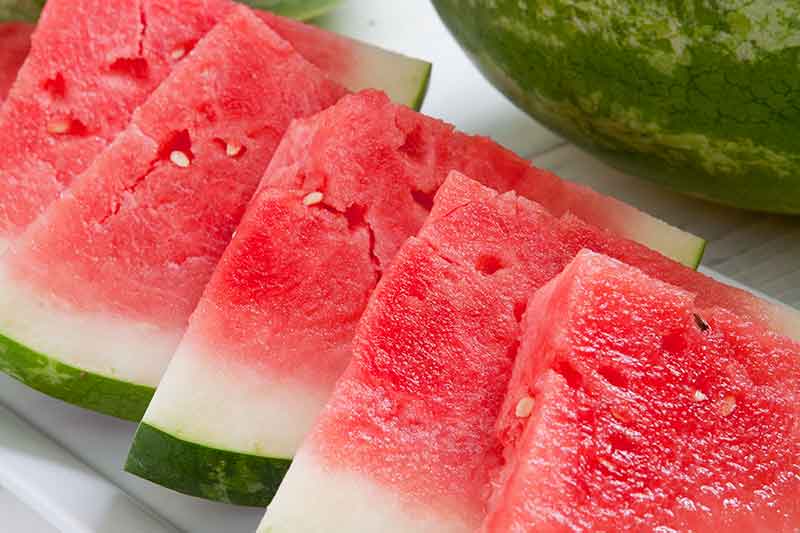Seedless watermelon