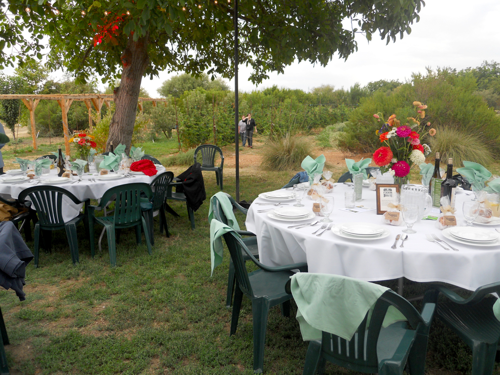 Dinner on the Farm