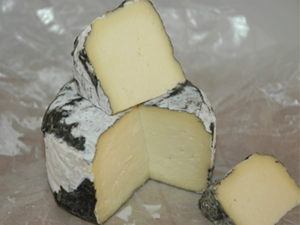 Cowgirl Creamery St. Pat Cheese