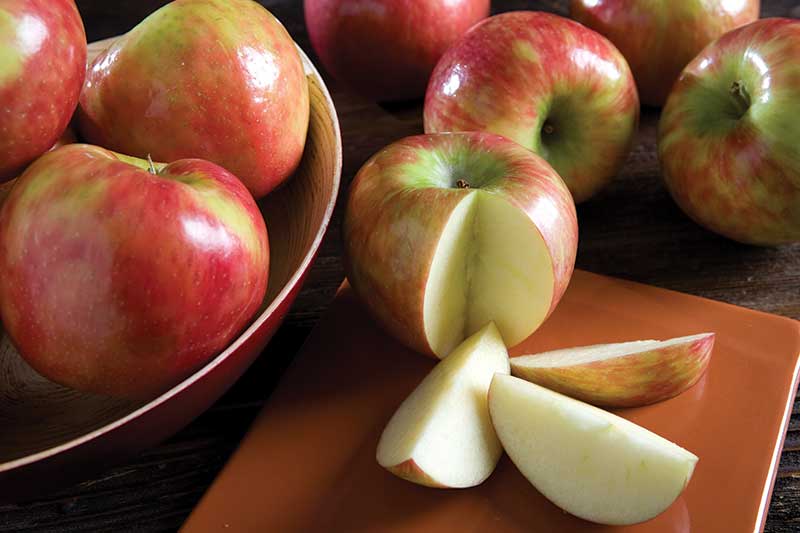 honeycrisp apples