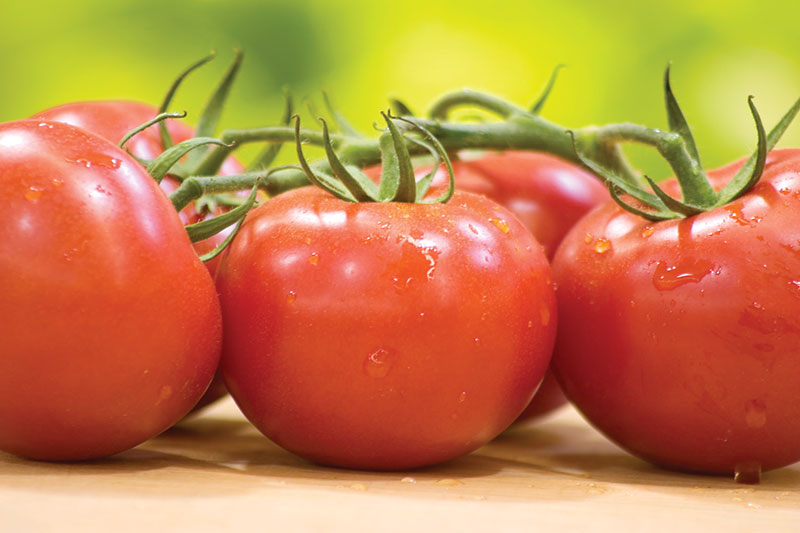 vine cluster tomatoes