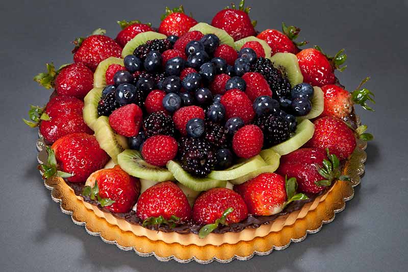 fruit tart