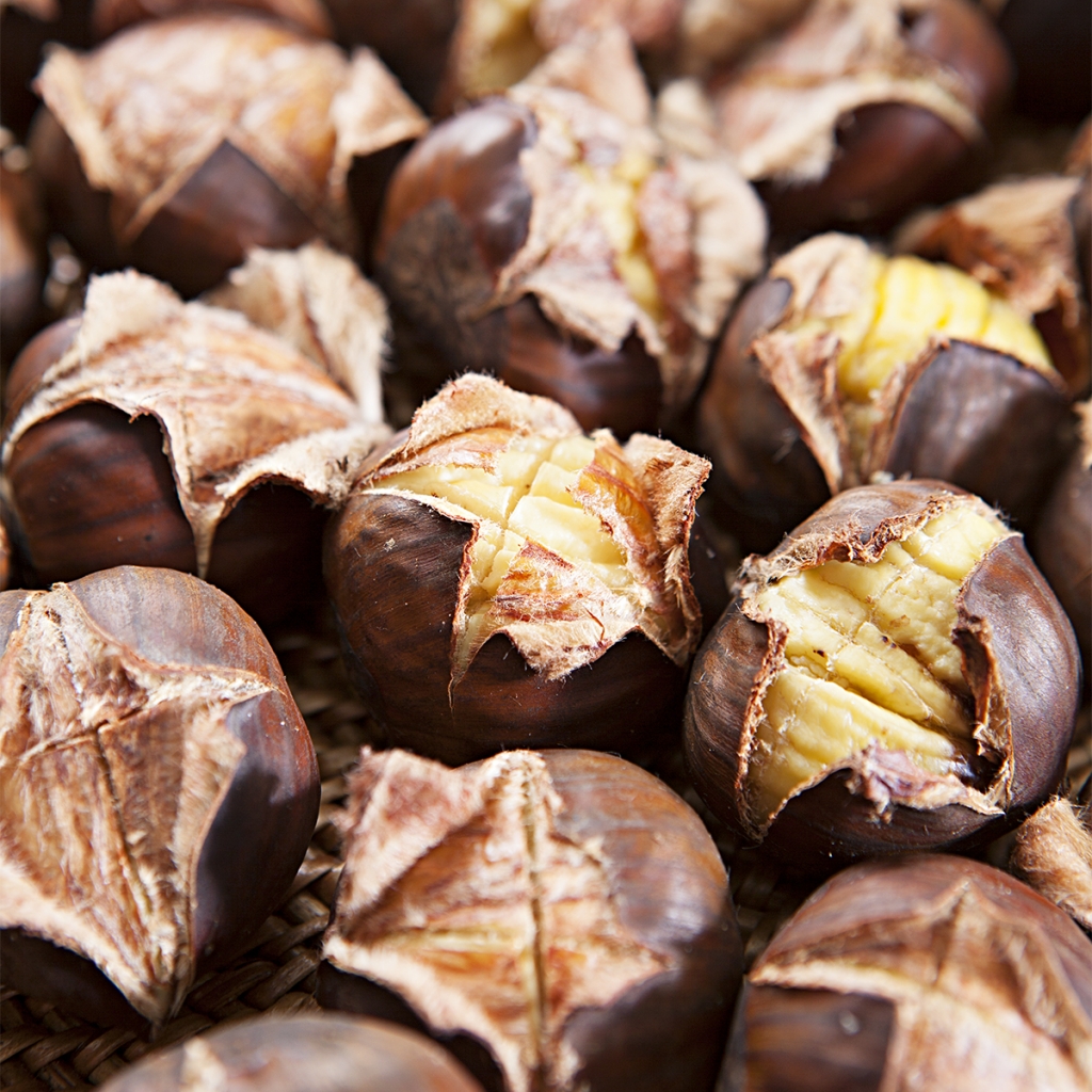 Chestnut Roasting How-To