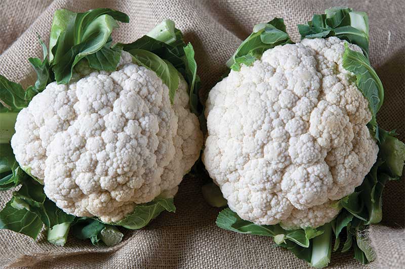 Cauliflower