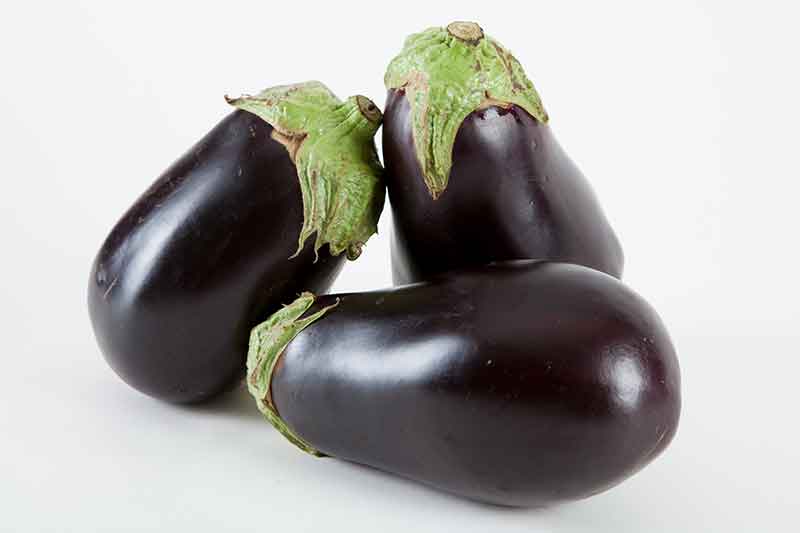 Eggplant