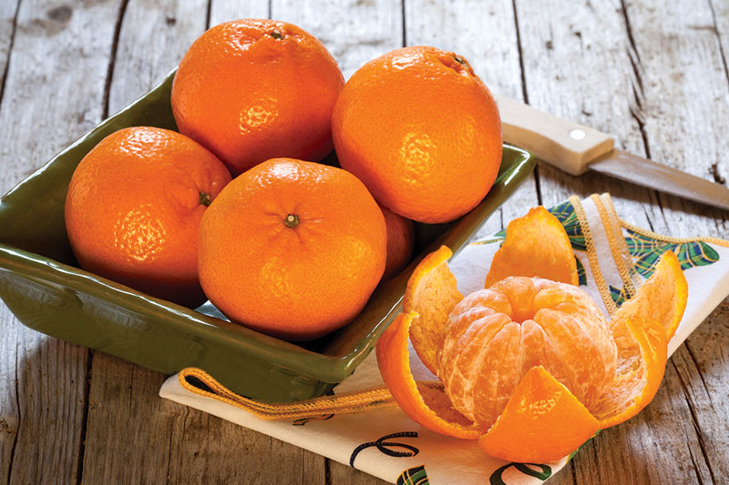 Murcott Tangerines