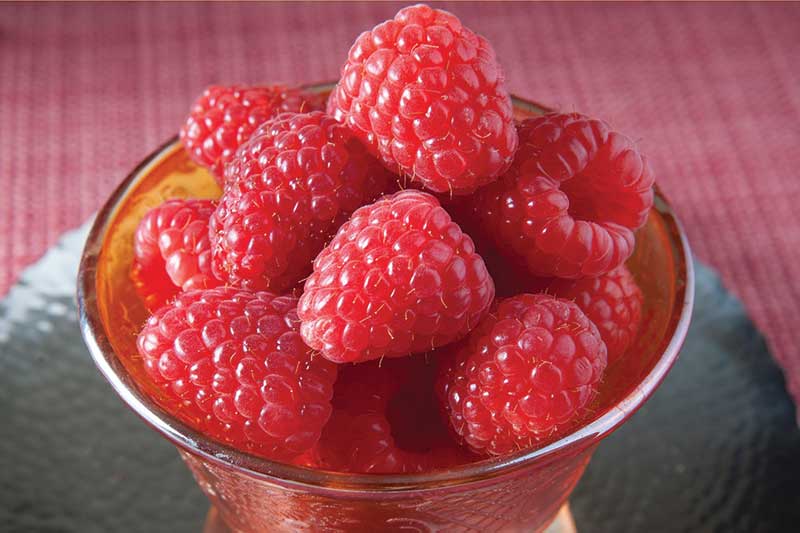 raspberries