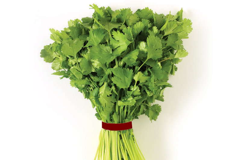 cilantro bunch Nugget Markets Image