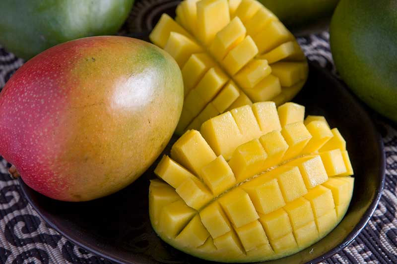 Keitt Mangoes