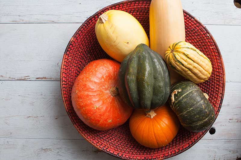 Winter Squash
