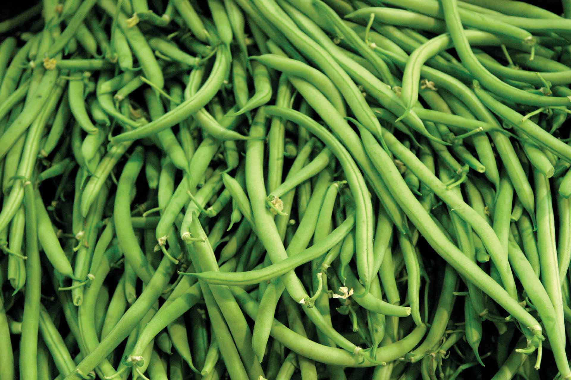 green beans