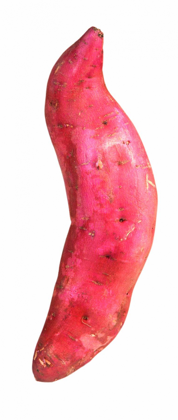 Yam